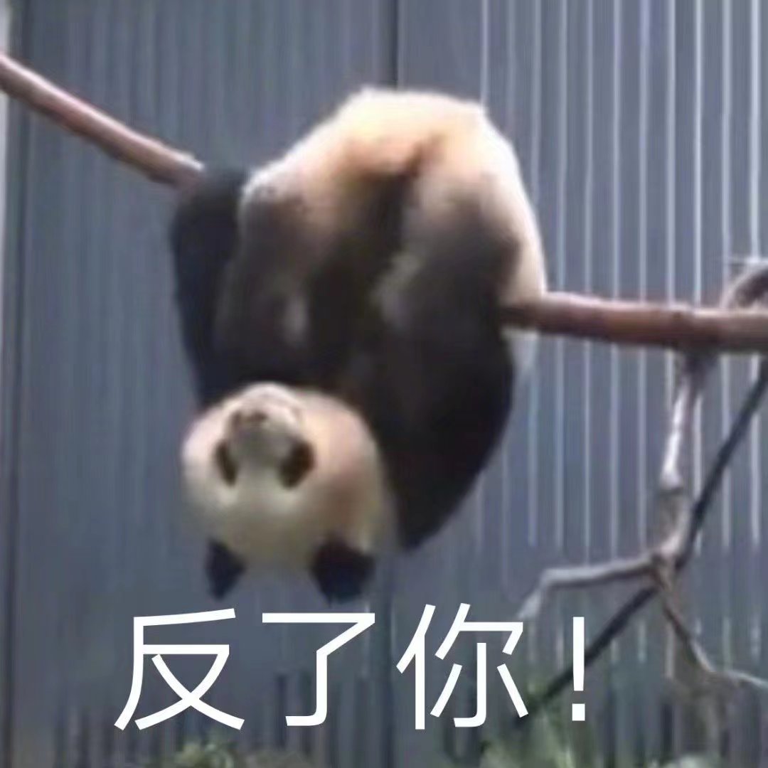 微信图片_20231120103519.jpg